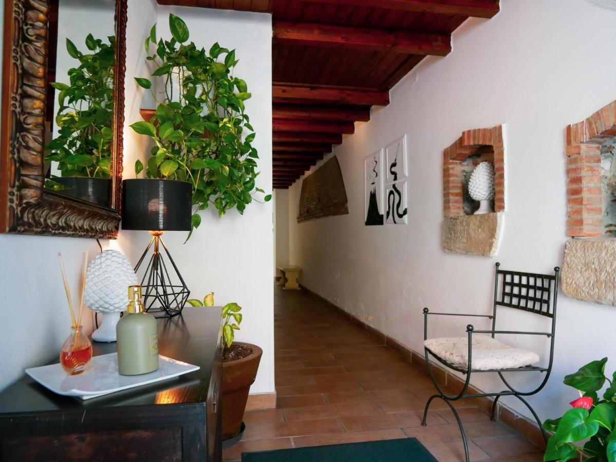 My Friend Antonia Bed & Breakfast Barcellona-Pozzo di Gotto Ngoại thất bức ảnh
